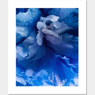 blue flower Posters and Art